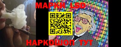 крисы Славгород