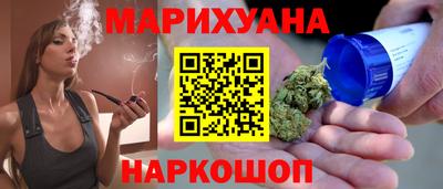 крисы Славгород