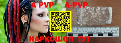 крисы Славгород
