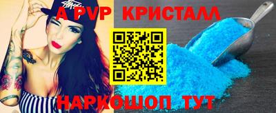 крисы Славгород