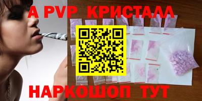 крисы Славгород