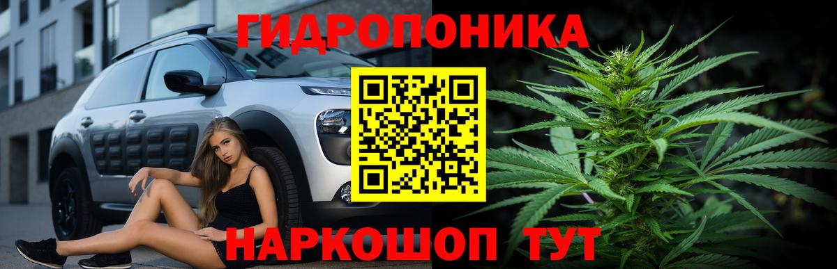 Шишки марихуана VHQ  Конопля марихуана  Новороссийск  Вход с VPN 